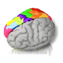 Brain Fractured - Presentation Clipart - Great Clipart for ...