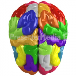 Creative Brain Colored - Presentation Clipart - Great Clipart for ...