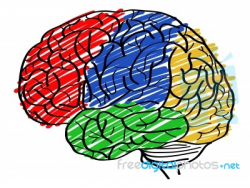 Doodle Uman Brain Outline Sketched Up Stock Image - Royalty Free ...