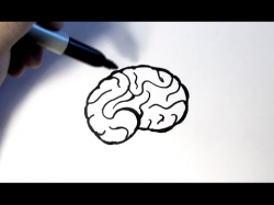How to Draw a Brain - YouTube