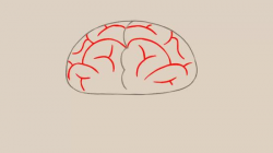 3 Ways to Draw a Brain - wikiHow