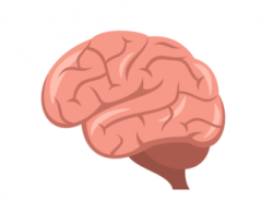 Brain Emoji is Coming Soon! | Cambridge Brain Sciences Blog