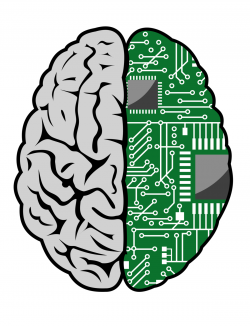 Free Engineering Brain Cliparts, Download Free Clip Art, Free Clip ...