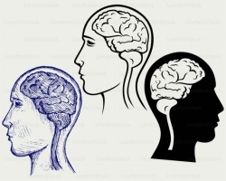 Brain svg/brain clipart/human brain svg/brain silhouette/brain ...