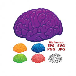 Brain brain clipart clipart red orange blue green