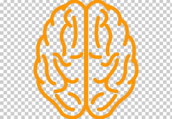 Computer Icons Brain Icon Design PNG, Clipart, Area, Brain ...