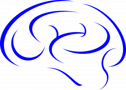 Brain in Blue Icons PNG - Free PNG and Icons Downloads