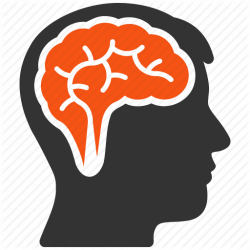 Brain Memory PNG Transparent Brain Memory.PNG Images. | PlusPNG