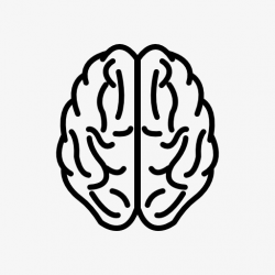 The Human Brain Icon, Human Clipart, Brain Clipart PNG Image and ...