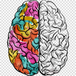 Brain Clipart clipart - Brain, Illustration, transparent ...