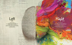 Free Wallpapers: Brain Code Imagination Creative Artwork | Digital Art