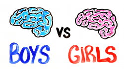 Are Boys Smarter Than Girls? - YouTube