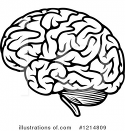 Brain Drawing Simple Brain Drawing Cliparts | Free Download Clip Art ...