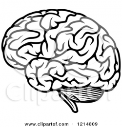 Line Drawing Brain at GetDrawings.com | Free for personal use Line ...