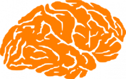 Orange Brain Logo Clip Art at Clker.com - vector clip art online ...