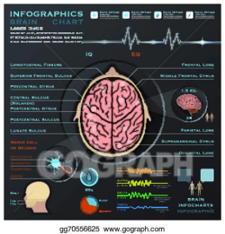 Vector Art - Brain and nervous system medical infographic infochart ...