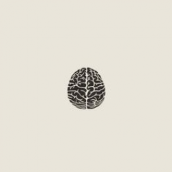 Brain Olivia Knapp | Drawing | Pinterest | Brain, Anatomy and ...