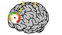 Brain Overload [image] | EurekAlert! Science News