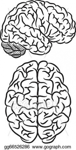 Vector Illustration - Brain silhouette. EPS Clipart gg66526286 - GoGraph