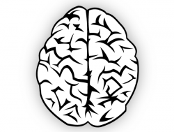 Brain Silhouette at GetDrawings.com | Free for personal use Brain ...