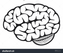Simple Drawing Of Brain at GetDrawings.com | Free for personal use ...
