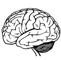 Brain clipart black and white - Pencil and in color brain clipart ...