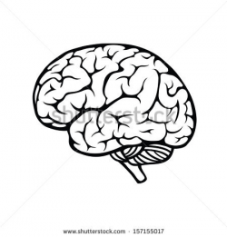 Brain black and white clipart collection