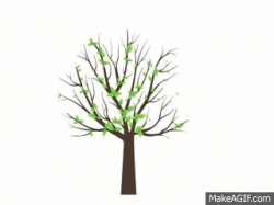 apple tree GIFs | Find, Make & Share Gfycat GIFs