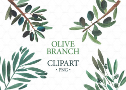 Watercolor Olive Branch Clipart, Wedding Clipart, Logo Branding ...
