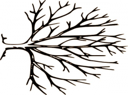 Tree Branch Silhouette Clip Art at GetDrawings.com | Free for ...
