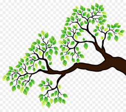 Branch Tree Drawing Clip art - branches clipart png download - 950 ...