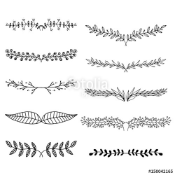 Text dividers hand drawn, branches separators, vector illustration ...