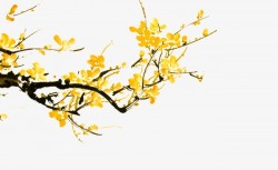 Yellow Flowers Branch, Yellow Flower, Flowers, Branches PNG Image ...