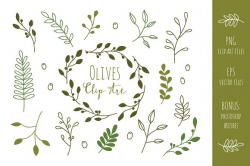Olive Branches Clip Art and Vectors ~ Illustrations ~ Creative Market