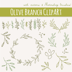CLIP ART: Olive Branches & Sprigs // Photoshop Brushes // Hand Drawn ...