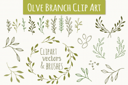 Olive Branch Clip Art & Vectors - Graphics | Creative Market Pro