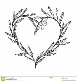 Hand drawn vector illustration - Olive branch, Heart Shaped Wreath ...
