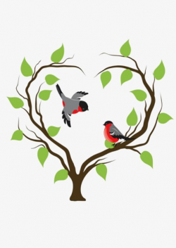 Heart-shaped Branch Birds, Birds, Branches, Leaves PNG Image and ...