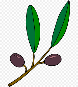 Olive branch Computer Icons Clip art - Grapevine Clipart png ...