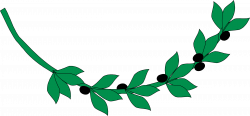 Olive branch 4 Icons PNG - Free PNG and Icons Downloads
