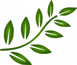 Free Branch Leaves Cliparts, Download Free Clip Art, Free ...