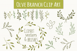Olive Branch Clip Art & Vectors ~ Graphics ~ Creative Market