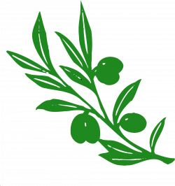 Clipart - olive tree branch