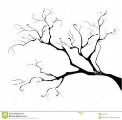 Tree Branch Outline Clipart