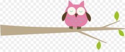 Owl Free content Branch Clip art - Wise Owl Clipart png download ...