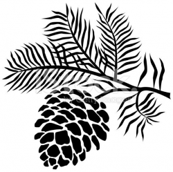 A vector illustration of pinecone on branch in black and white. An ...