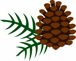 Pine Cone and Pine Needles - Free Clip Art