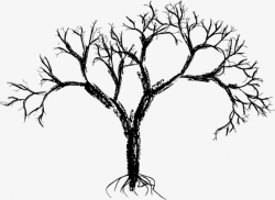 Dry Old Branches, Branches, Acacia Tree, Root PNG Image and Clipart ...