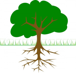 Tree Branches And Roots clip art Free vector in Open office drawing ...