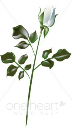 White Rose Clipart | Rose Clipart